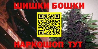индика Майкоп