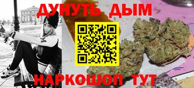 индика Майкоп